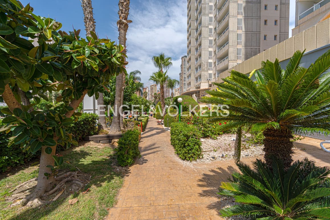 3 soveværelse Penthouse til salg i Benidorm med swimmingpool garage - € 595.000 (Ref: 9153239)