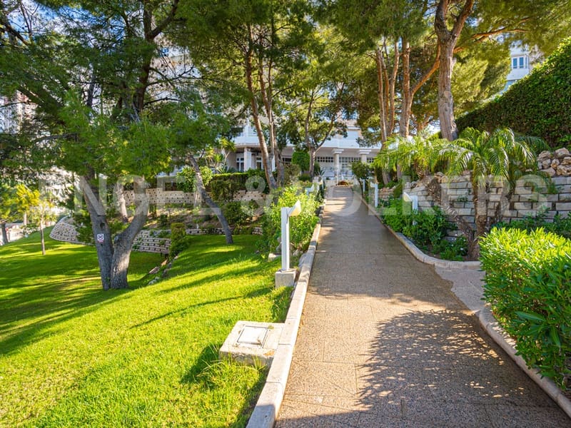 3 makuuhuone Huoneisto vuokrattavana paikassa Benidorm mukana uima-altaan 
autotalli - 1 500 € (Ref: 9427578)