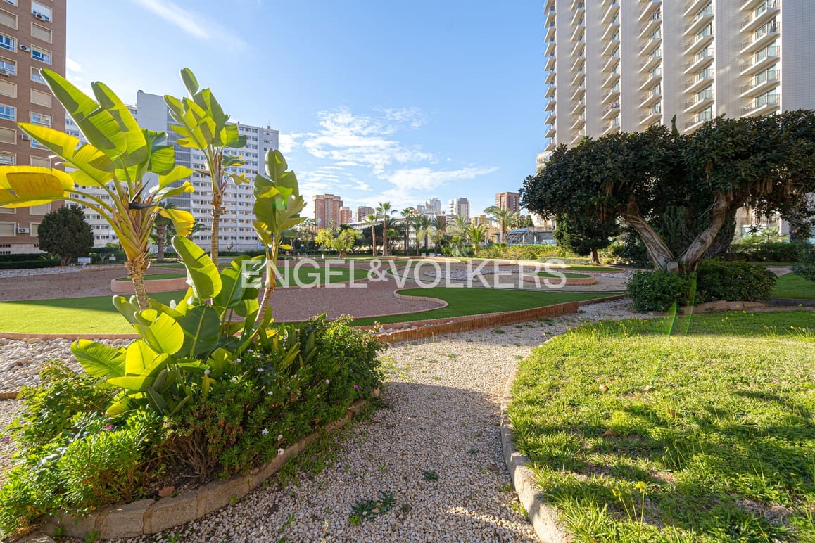 Appartement de 4 chambres à louer à Benidorm avec piscine garage - 1 500 € (Ref: 9645601)
