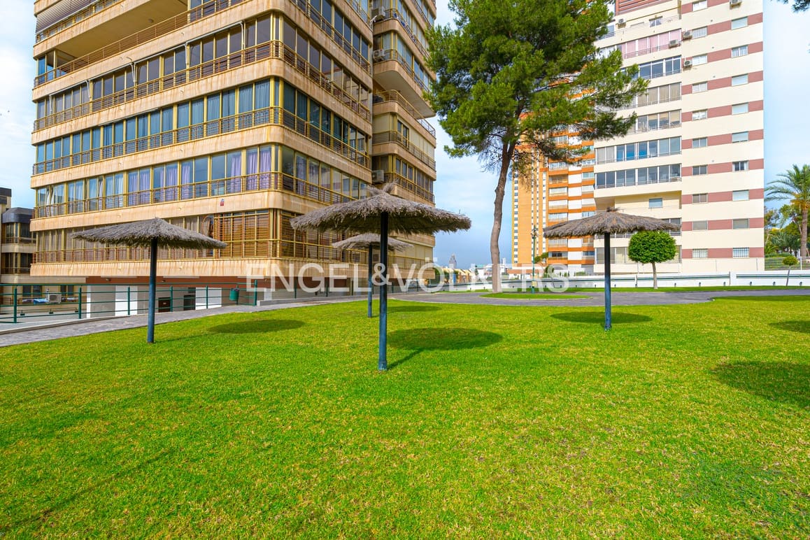 2 bedroom Apartment for rent in Benidorm with pool garage - € 1,500 (Ref: 9841587)