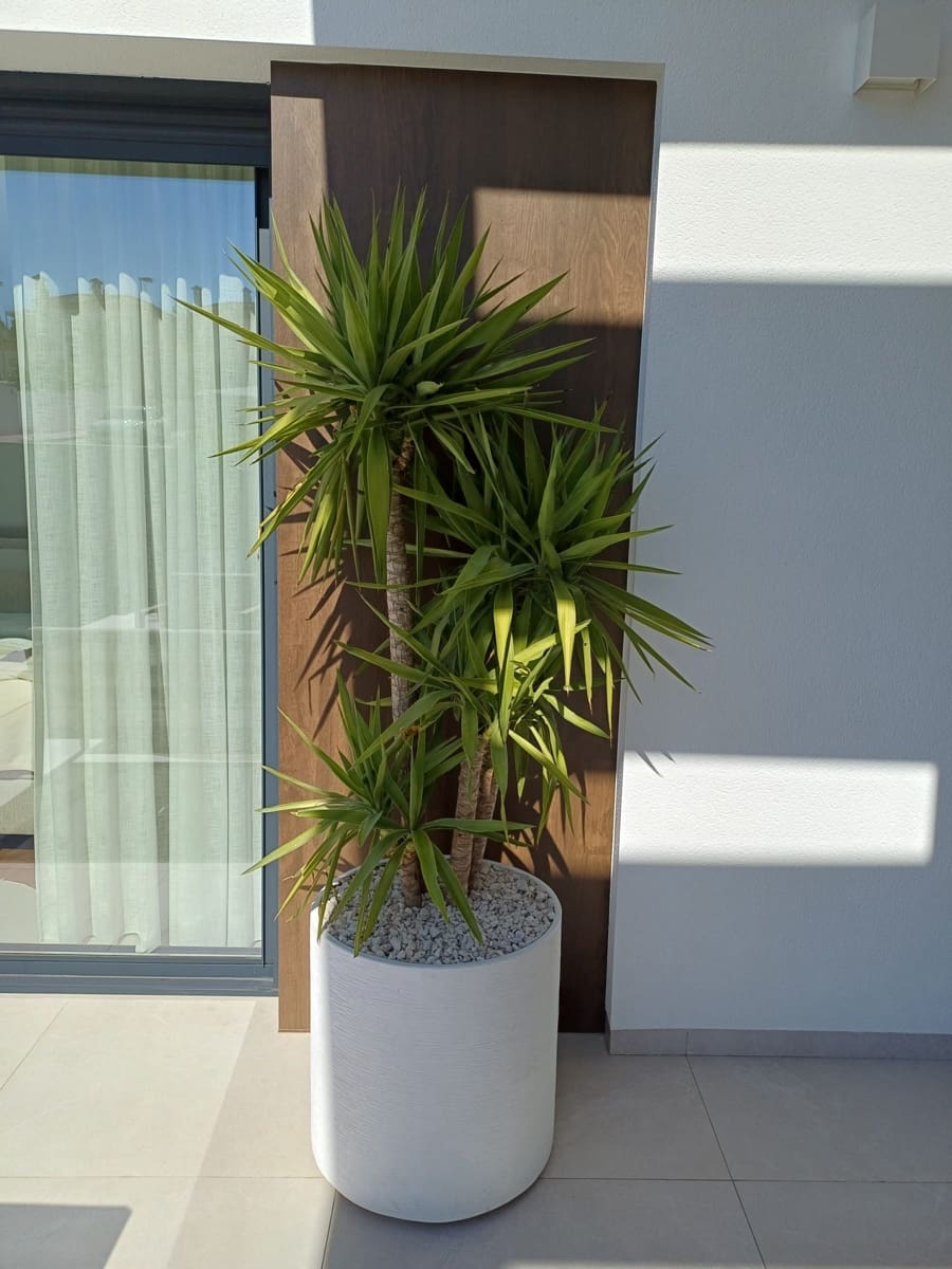 4 soverom Villa til salgs i Rojales - € 899 000 (Ref: 10024648)