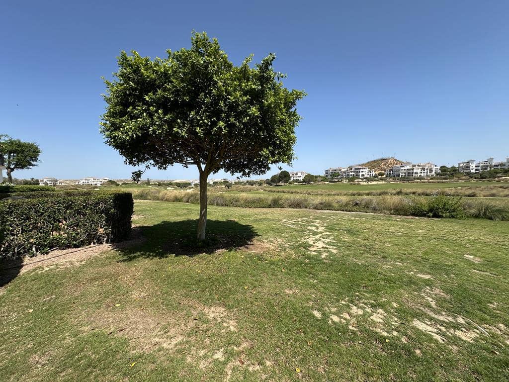 2 chambre Appartement à vendre à Sucina - 129 950 € (Ref: 8866409)