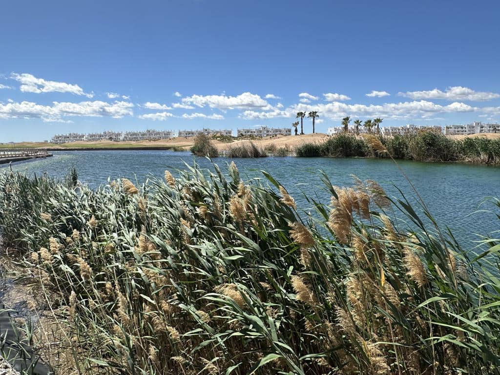 2 chambre Appartement à vendre à Terrazas de la Torre - 119 950 € (Ref: 8936157)