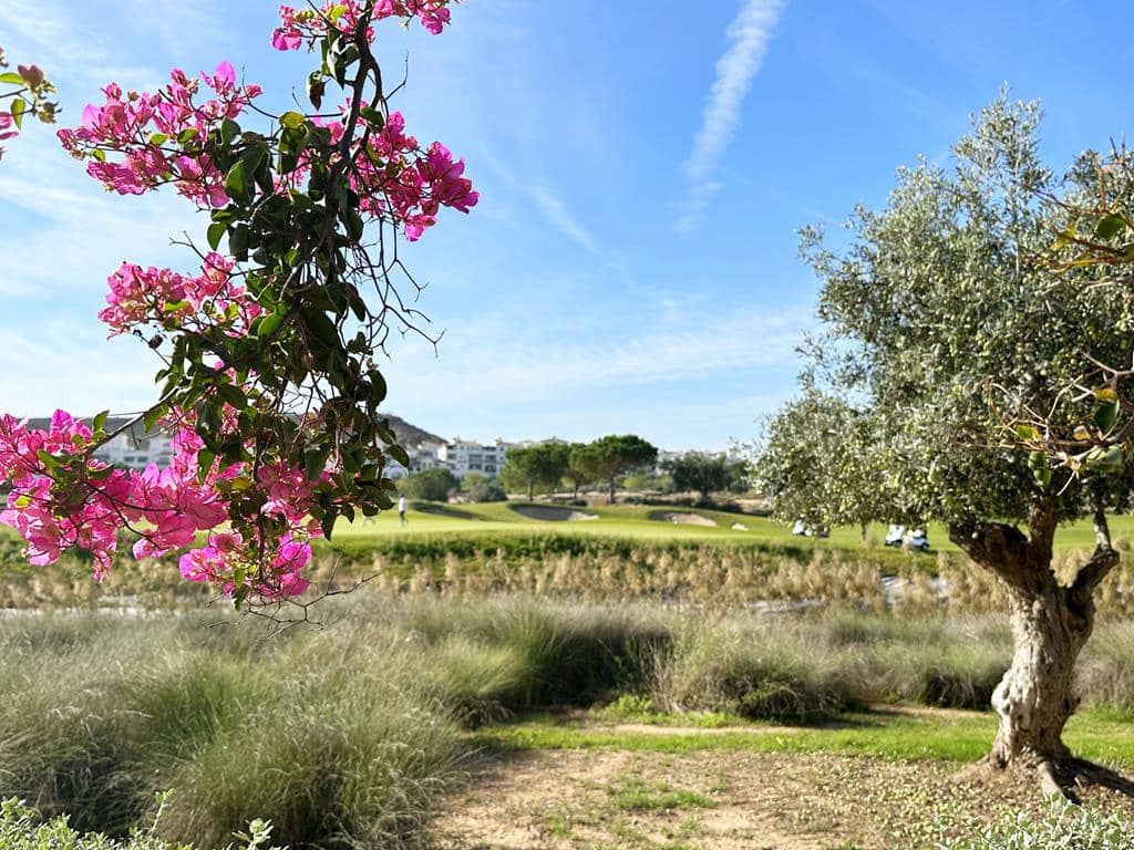 2 chambre Appartement à vendre à Sucina - 129 950 € (Ref: 9325336)