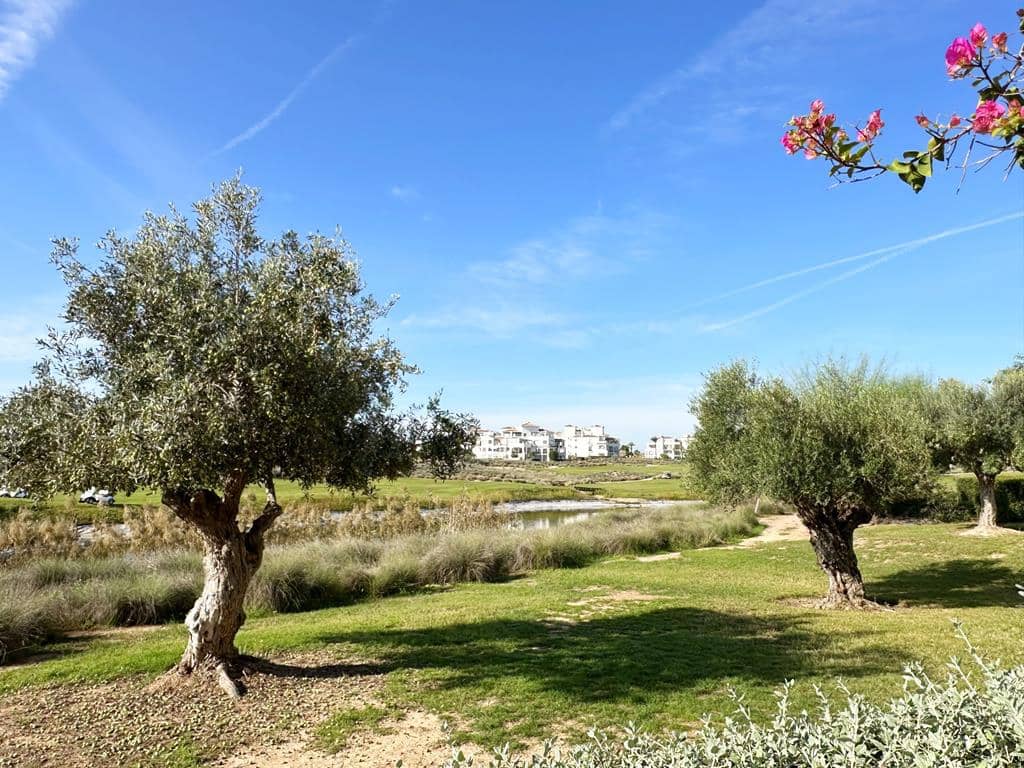 2 chambre Appartement à vendre à Sucina - 129 950 € (Ref: 9325336)