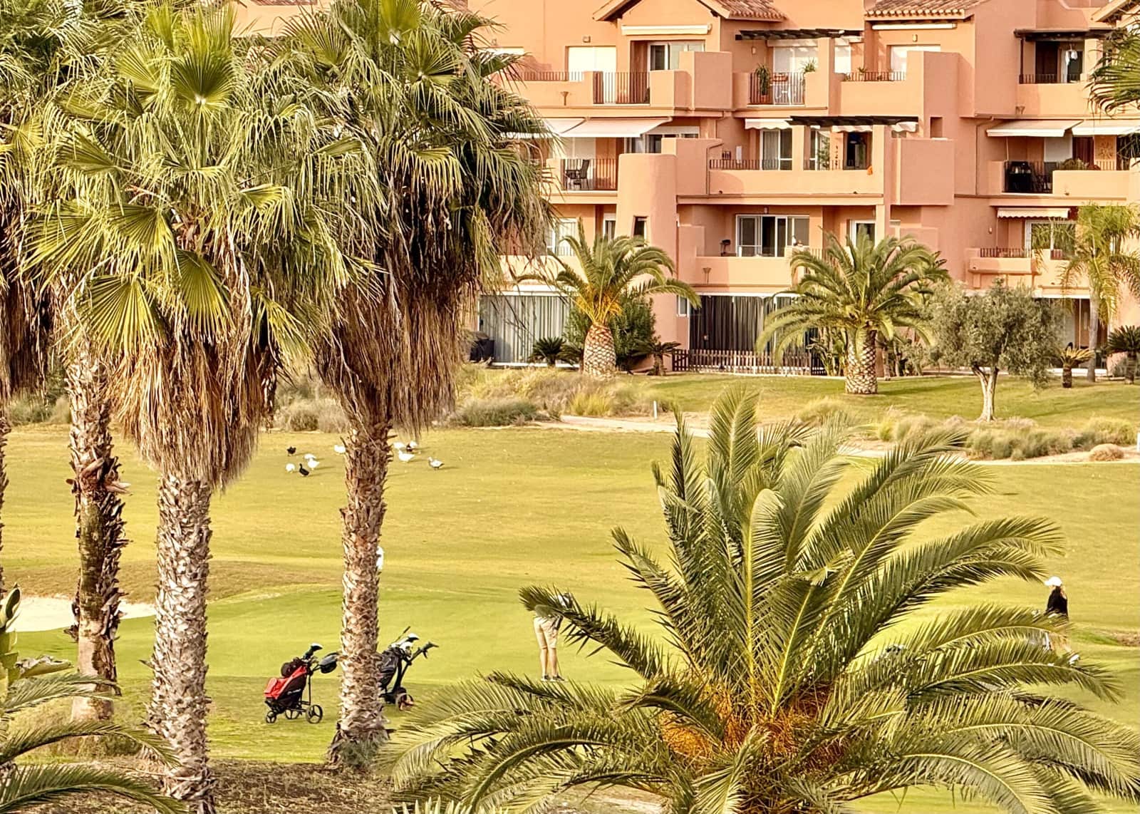 Apartamento de 2 habitaciones en Torre-Pacheco en venta - 215.000 € (Ref: 9454755)