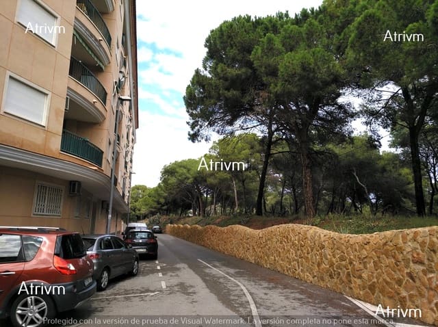 Apartamento de 1 habitación en Guardamar del Segura en alquiler con piscina - 450 € (Ref: 5790164)