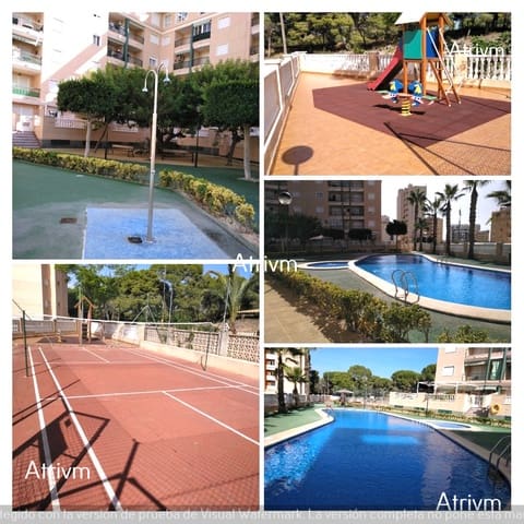 Apartamento de 1 habitación en Guardamar del Segura en alquiler con piscina - 450 € (Ref: 5790164)