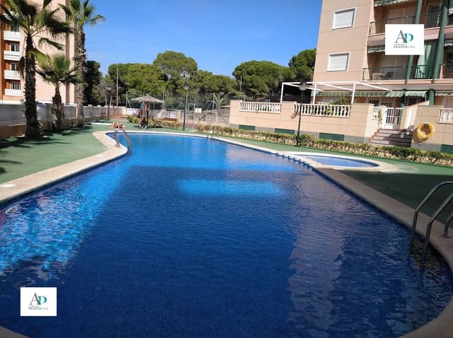 1 Zimmer Apartment zu vermieten in Guardamar del Segura mit Pool - 450 € (Ref: 5790164)