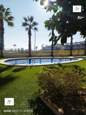 2 Zimmer Apartment zu vermieten in Guardamar del Segura mit Pool - 800 € (Ref: 5867190)