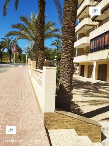 2 bedroom Flat for rent in Guardamar del Segura - € 700 (Ref: 7785420)