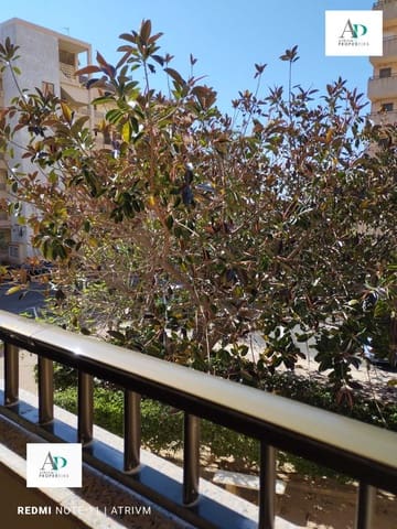 2 sypialnia Mieszkanie do wynajęcia w Torrevieja - 600 € (Ref: 9003791)