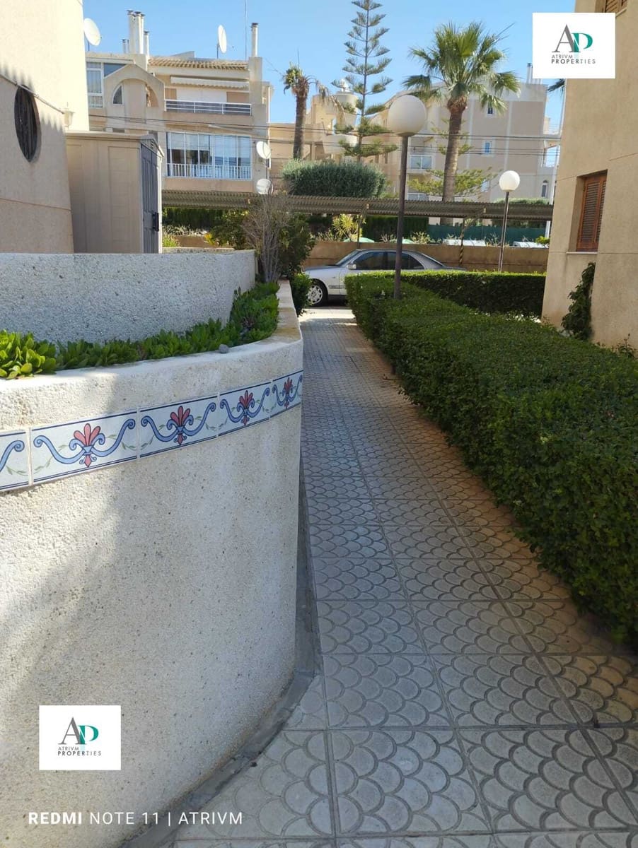 2 slaapkamer Flat te huur in Torrevieja met zwembad - € 700 (Ref: 9003792)