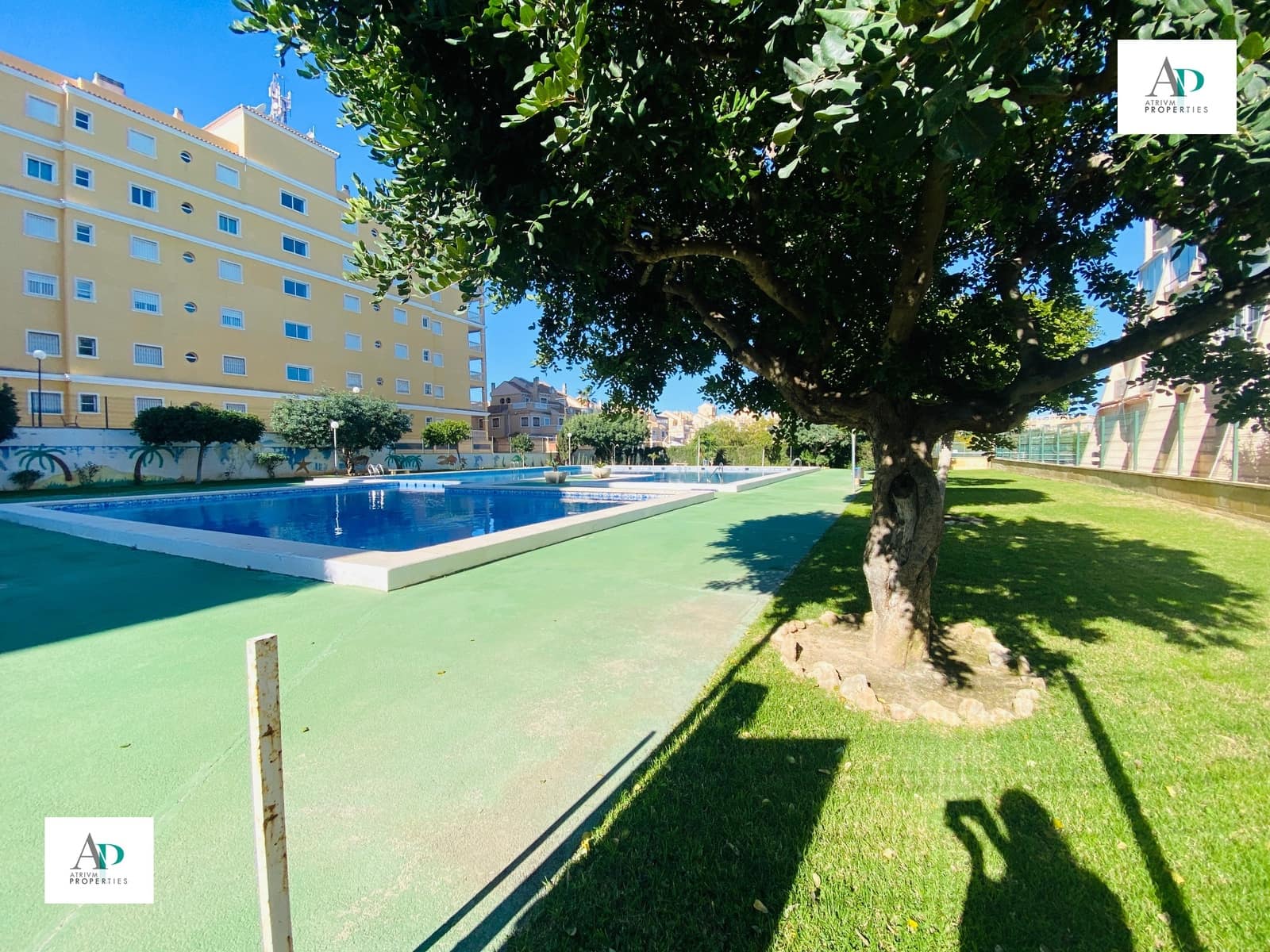 2 Zimmer Wohnung zu vermieten in Torrevieja mit Pool - 750 € (Ref: 9049766)