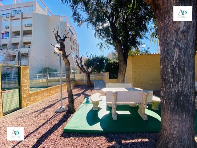 2 Zimmer Wohnung zu vermieten in Torrevieja mit Pool - 750 € (Ref: 9049766)