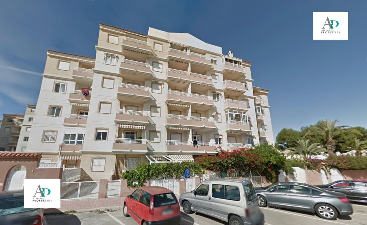 2 bedroom Flat for rent in Torrevieja with pool - € 700 (Ref: 9504718)