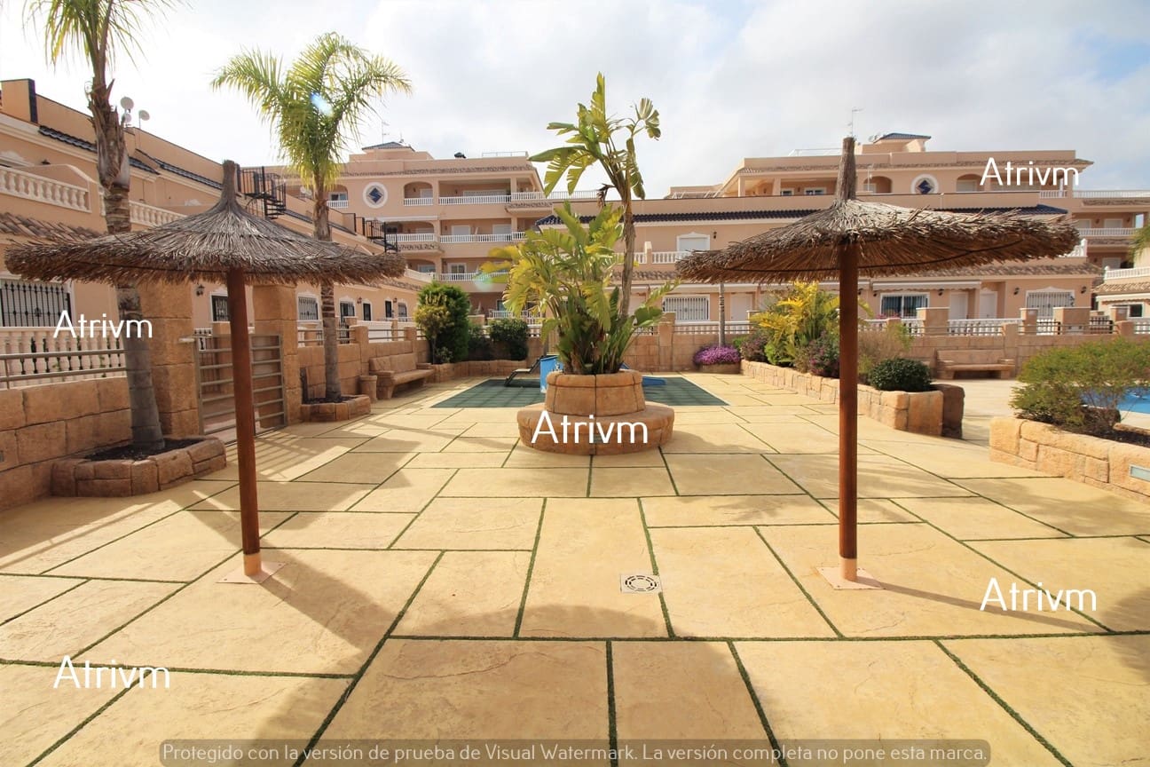 2 bedroom Apartment for rent in Playa Flamenca with pool - € 1,040 (Ref: 9509109)