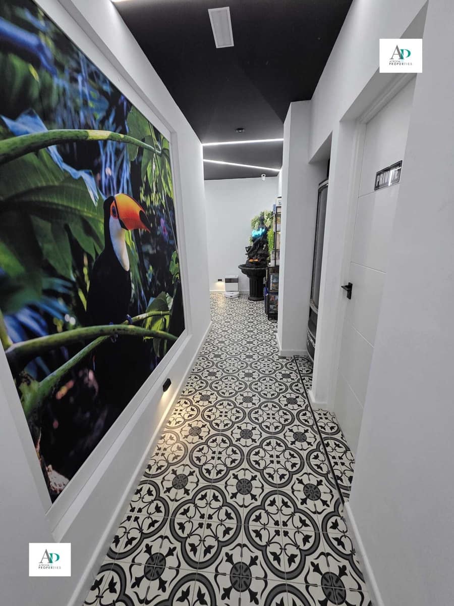 Piso de 1 habitación en Torrevieja en alquiler - 650 € (Ref: 9535201)