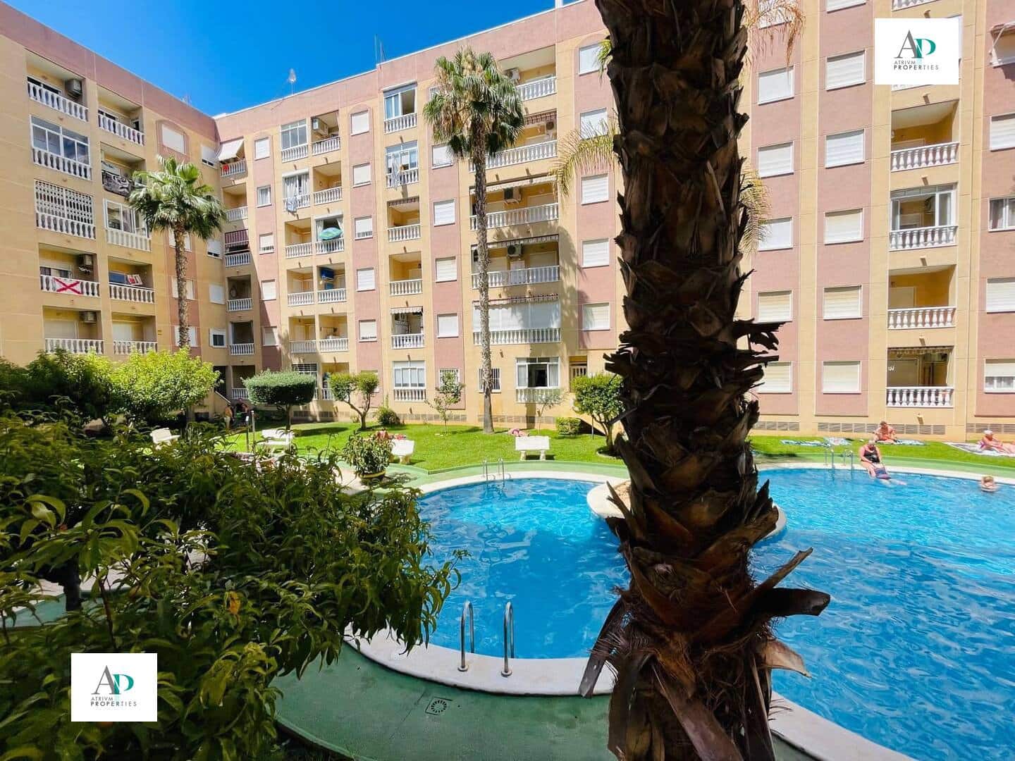 Appartement de 1 chambre à louer à Torrevieja avec piscine - 700 € (Ref: 9596779)
