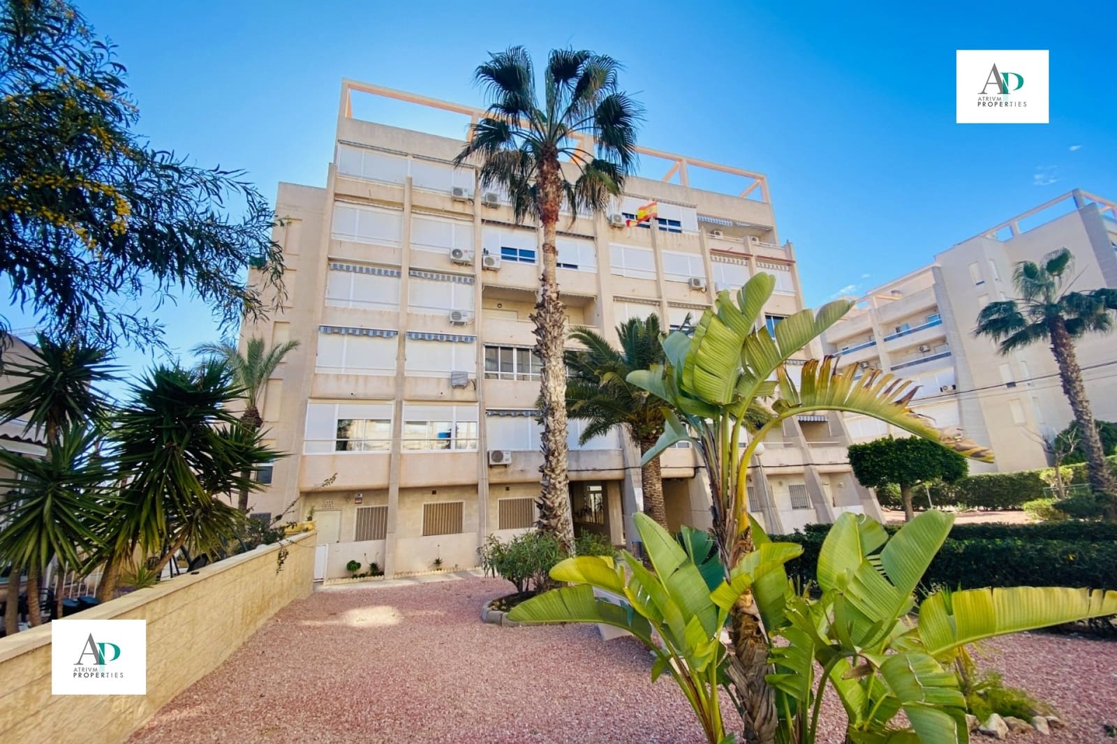 Appartement de 2 chambres à louer à Torrevieja avec piscine - 750 € (Ref: 9807252)