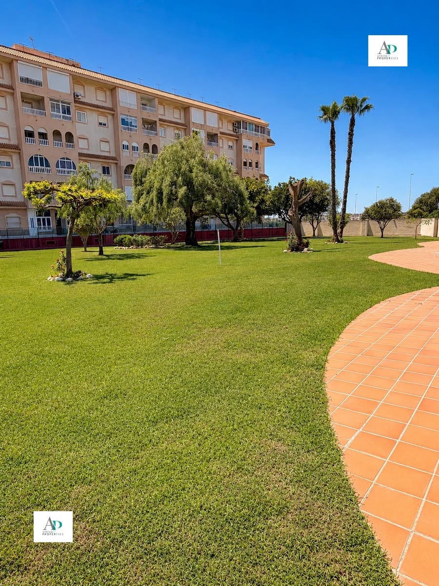 2 soveværelse Lejlighed til leje i Torrevieja med swimmingpool - € 850 (Ref: 9829912)