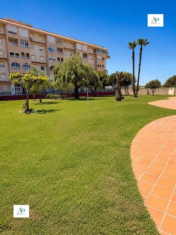 2 soveværelse Lejlighed til leje i Torrevieja med swimmingpool - € 850 (Ref: 9829912)