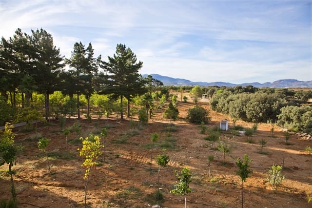 3 chambre Finca/Maison de Campagne à vendre à Ronda avec piscine garage - 1 600 000 € (Ref: 5255781)