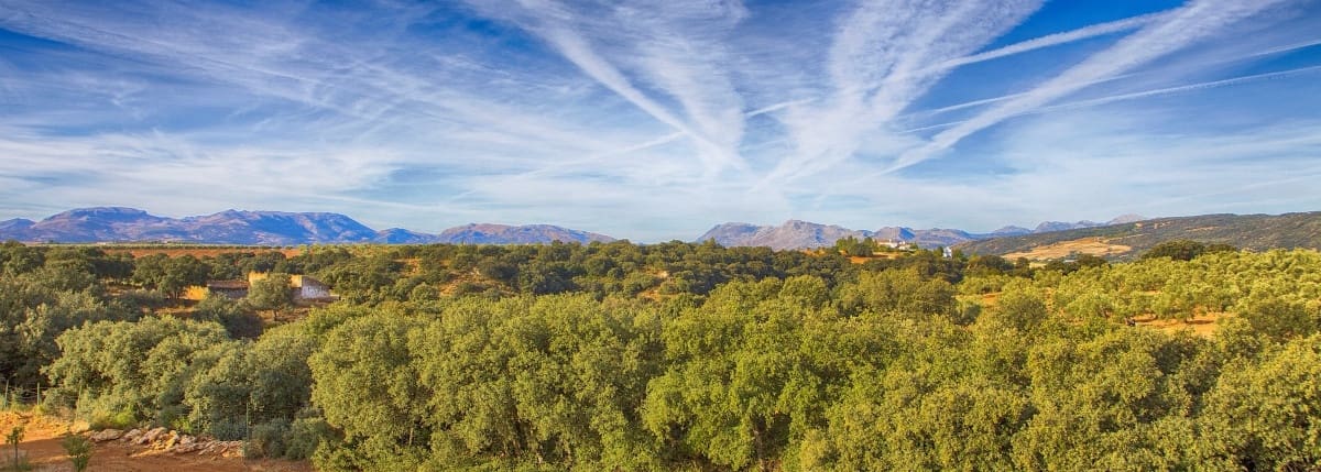 3 bedroom Finca/Country House for sale in Ronda with pool garage - € 1,600,000 (Ref: 5255781)