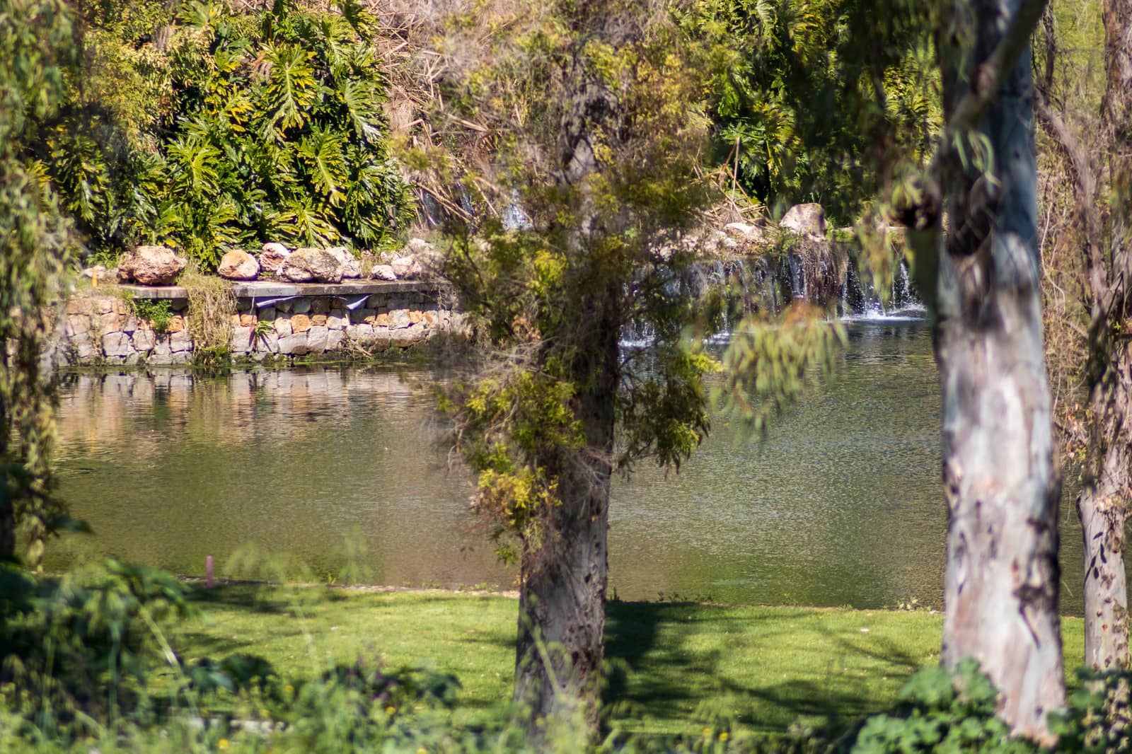 2 soveværelse Penthouse til salg i Guadalmina med swimmingpool garage - € 680.000 (Ref: 7076484)