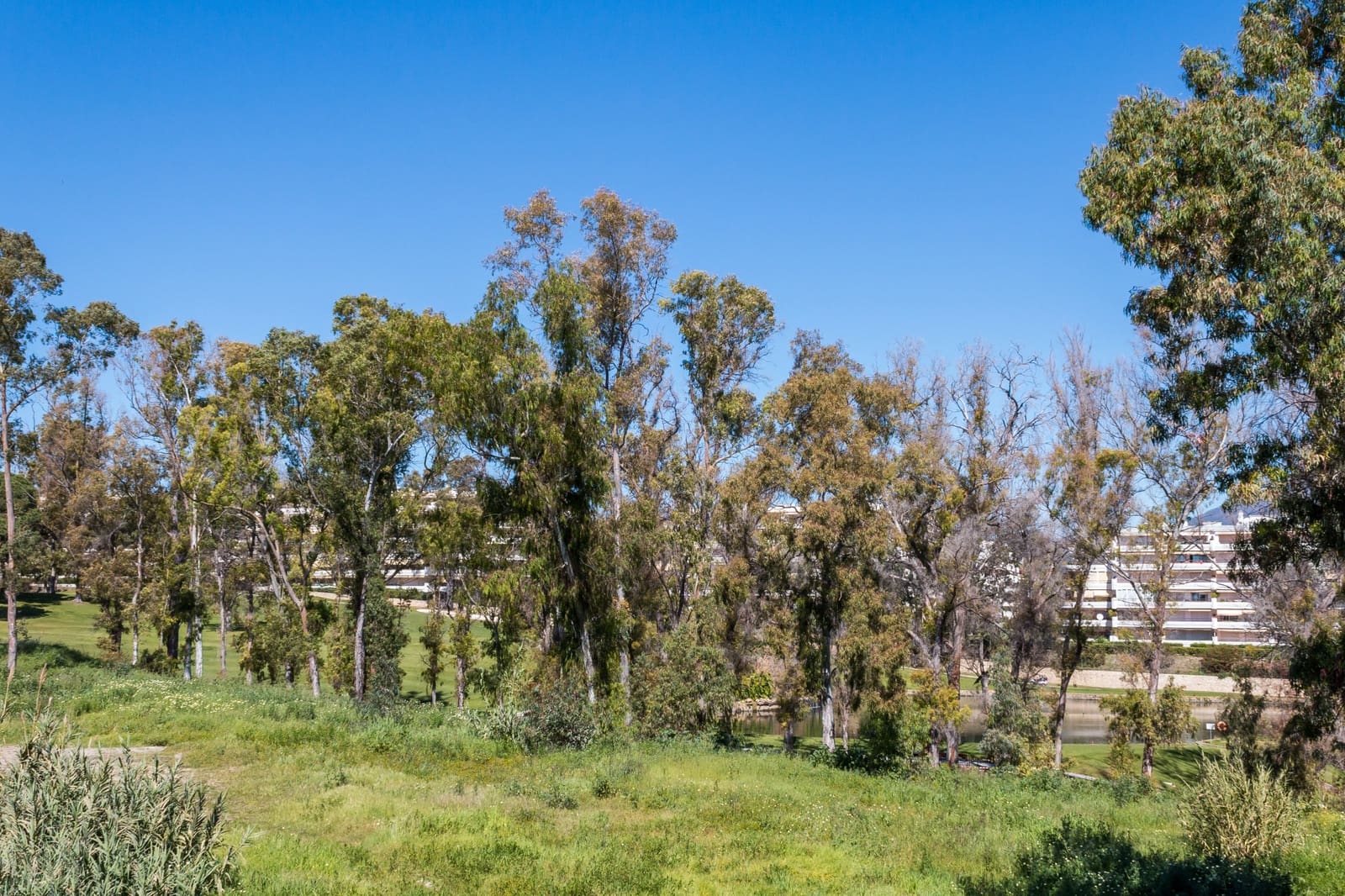 2 camera da letto Attico in vendita in Guadalmina con piscina garage - 720.000 € (Rif: 7076484)