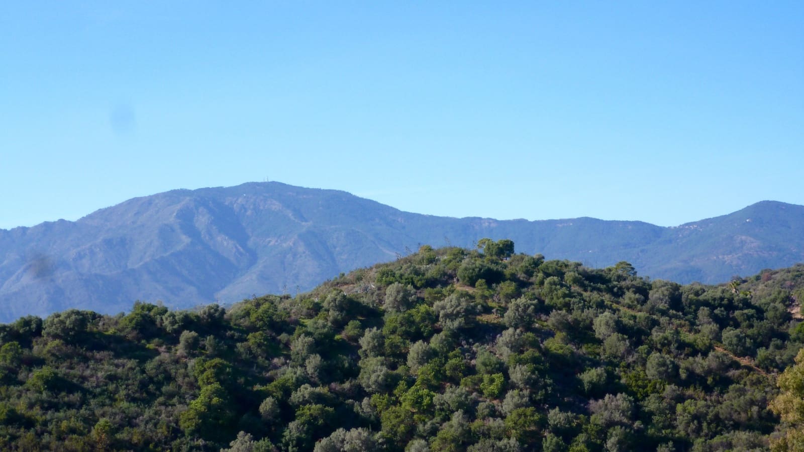 Terrain à Bâtir à vendre à New Golden Mile - 875 000 € (Ref: 8194793)