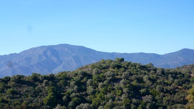 Terrain à Bâtir à vendre à New Golden Mile, Estepona - 875 000 € (Ref: 8194793)