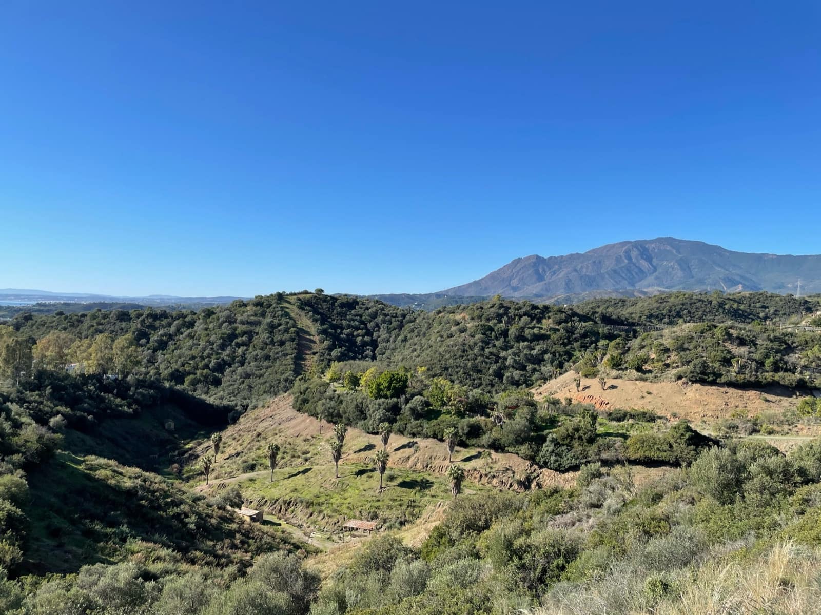 Terrain à Bâtir à vendre à New Golden Mile - 875 000 € (Ref: 8194793)