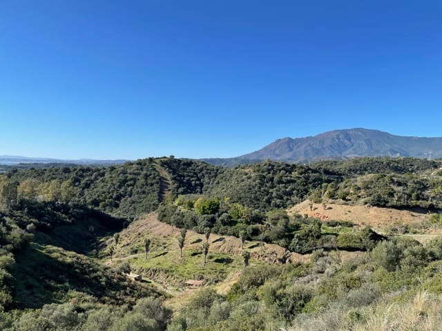 Terrain à Bâtir à vendre à New Golden Mile, Estepona - 875 000 € (Ref: 8194793)