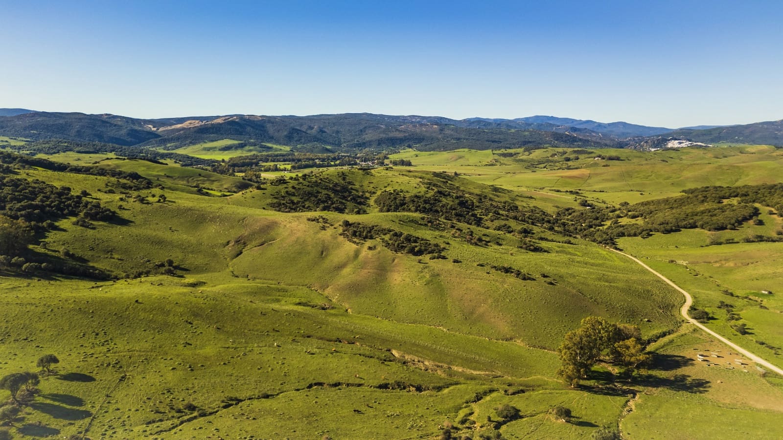 7 soveværelse Finca/Landehus til salg i San Martin del Tesorillo med garage - € 6.950.000 (Ref: 8254382)