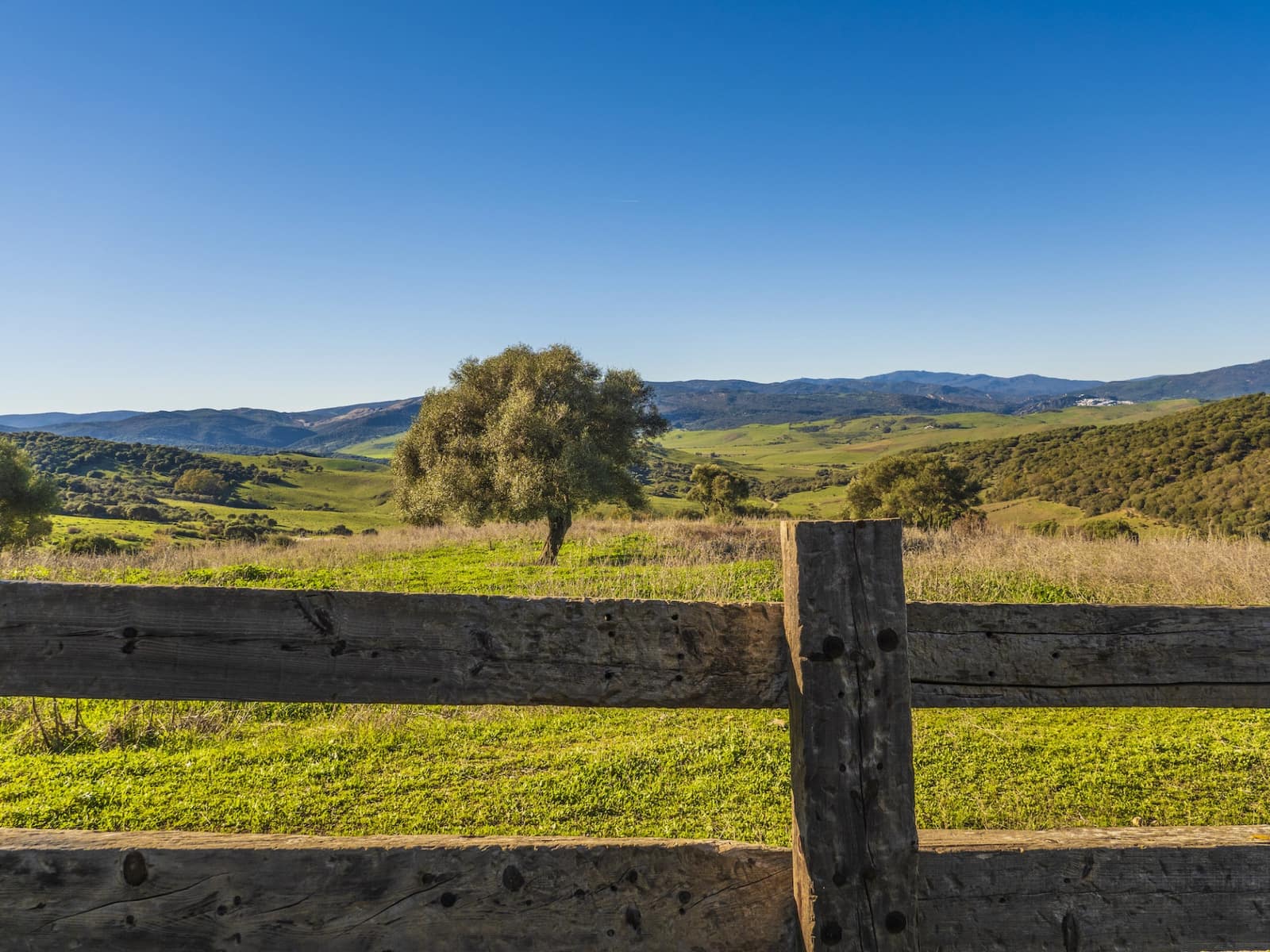 7 soveværelse Finca/Landehus til salg i San Martin del Tesorillo med garage - € 6.950.000 (Ref: 8254382)