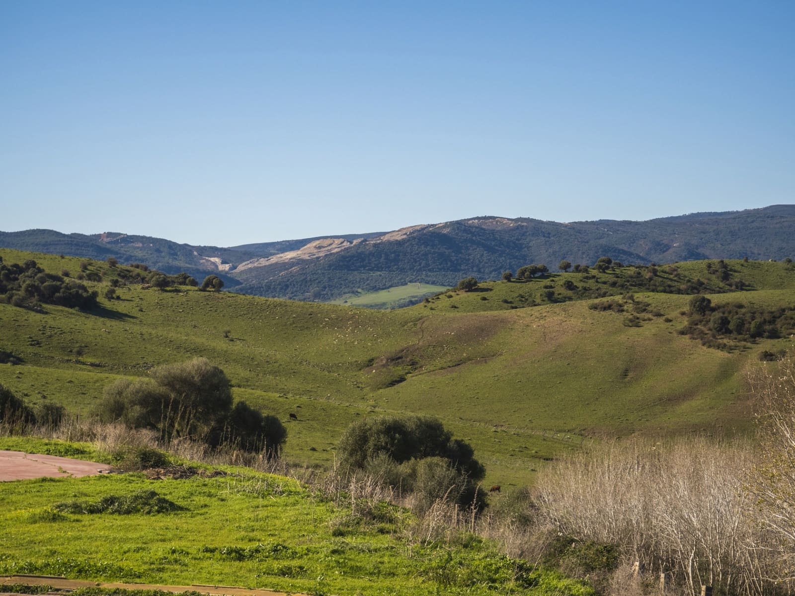 7 soveværelse Finca/Landehus til salg i San Martin del Tesorillo med garage - € 6.950.000 (Ref: 8254382)