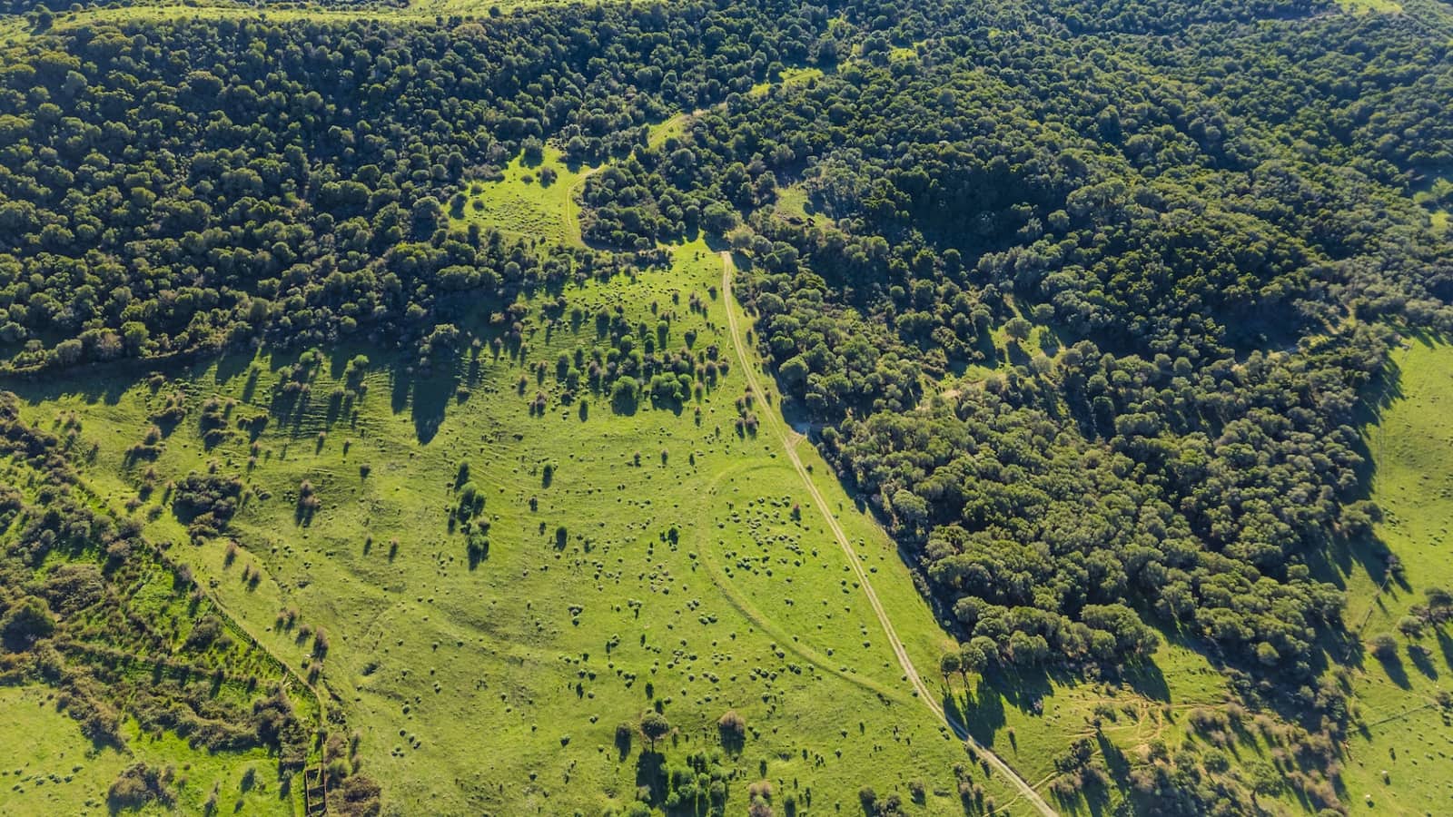 7 soveværelse Finca/Landehus til salg i San Martin del Tesorillo med garage - € 6.950.000 (Ref: 8254382)