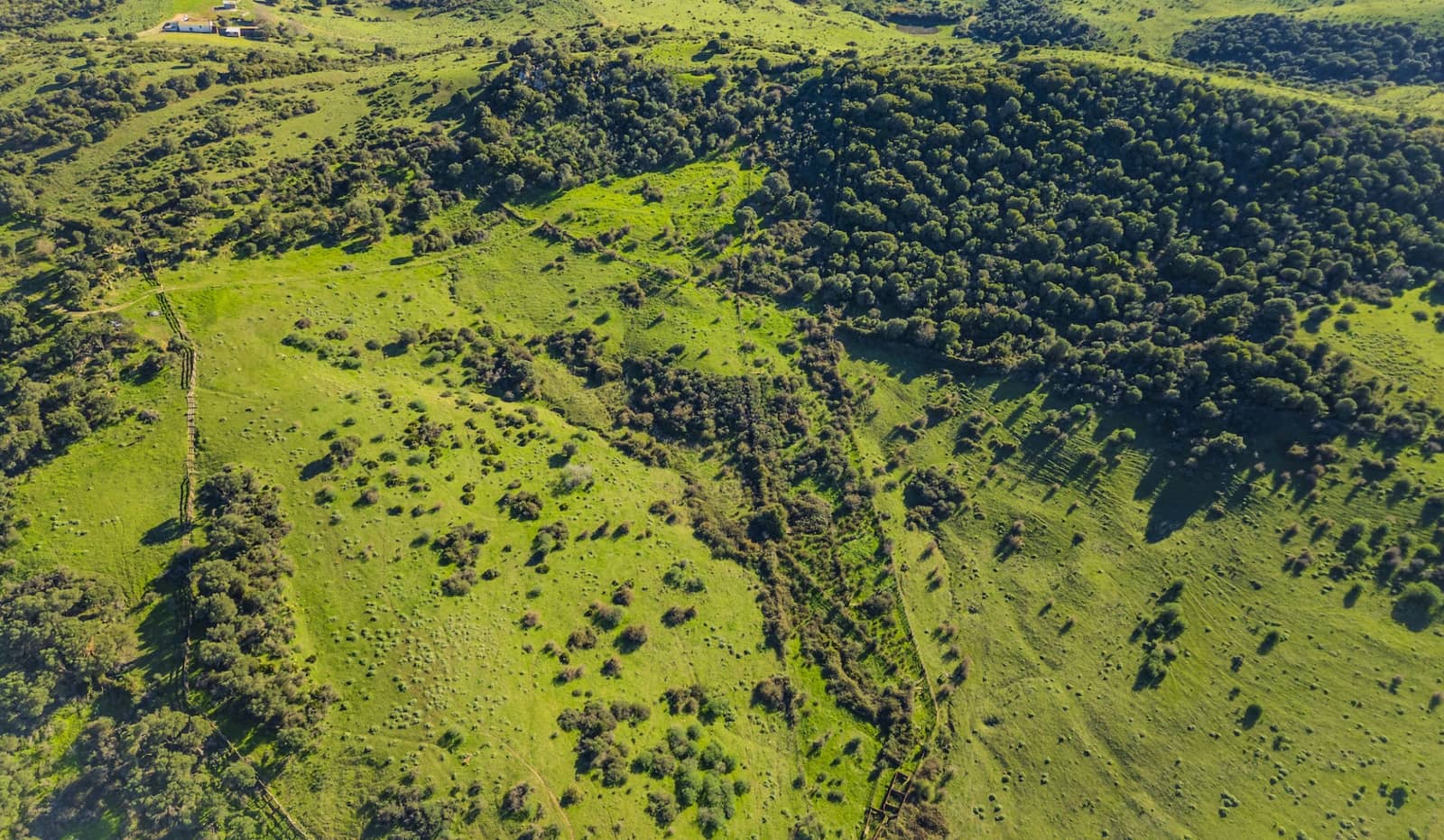 7 soveværelse Finca/Landehus til salg i San Martin del Tesorillo med garage - € 6.950.000 (Ref: 8254382)