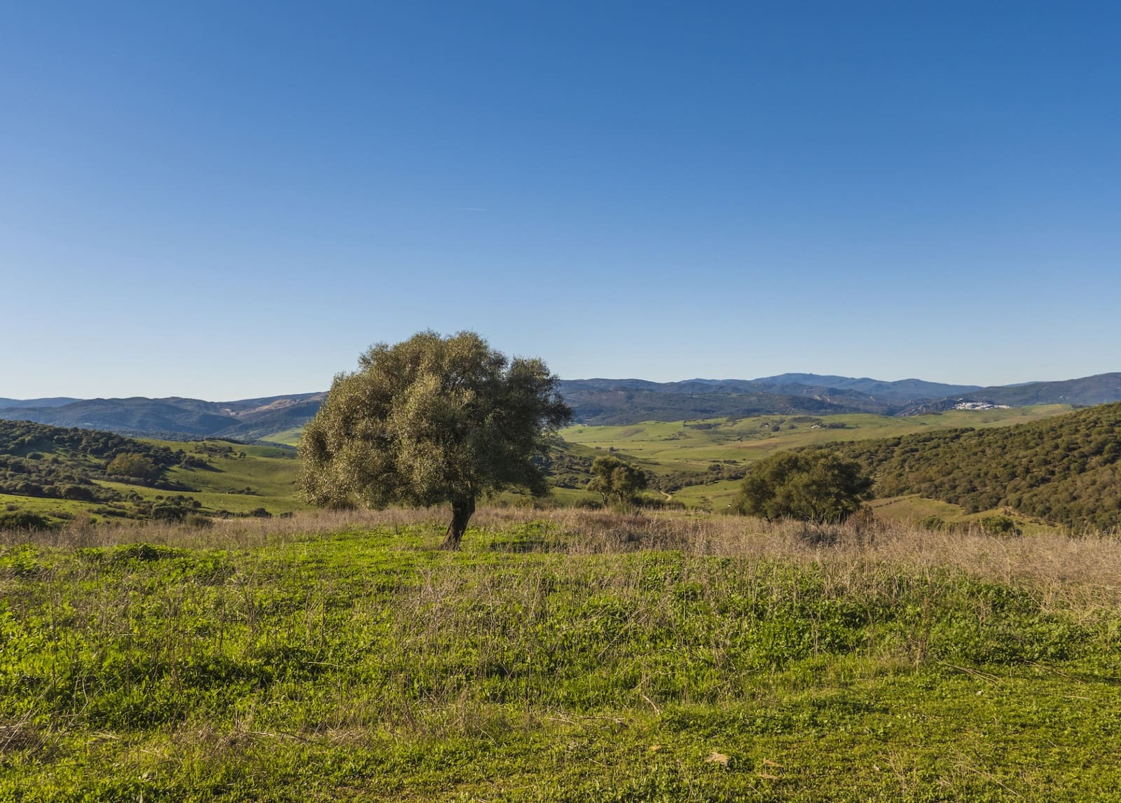 7 soveværelse Finca/Landehus til salg i San Martin del Tesorillo med garage - € 6.950.000 (Ref: 8254382)