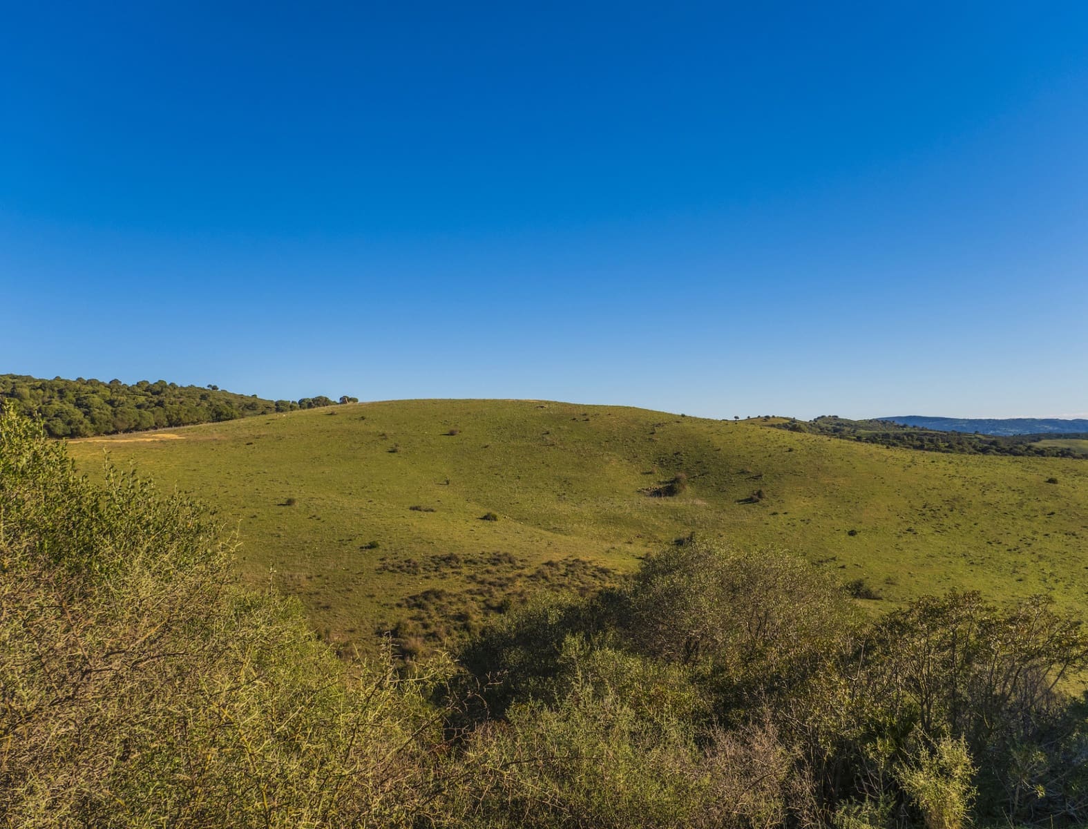 7 soveværelse Finca/Landehus til salg i San Martin del Tesorillo med garage - € 6.950.000 (Ref: 8254382)