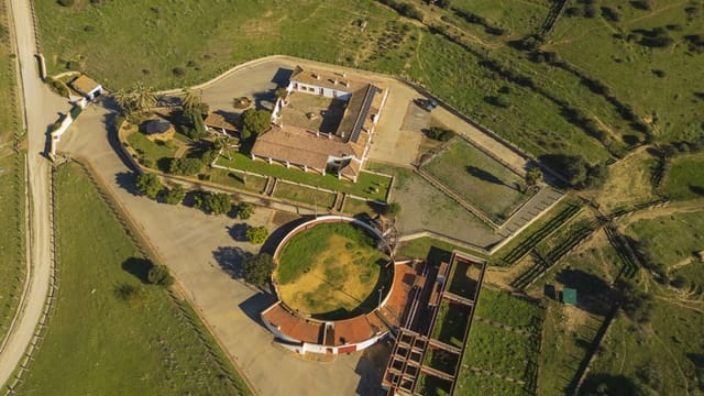 7 soverom Finca/Herregård til salgs i San Martin del Tesorillo med garasje - € 6 950 000 (Ref: 8254382)
