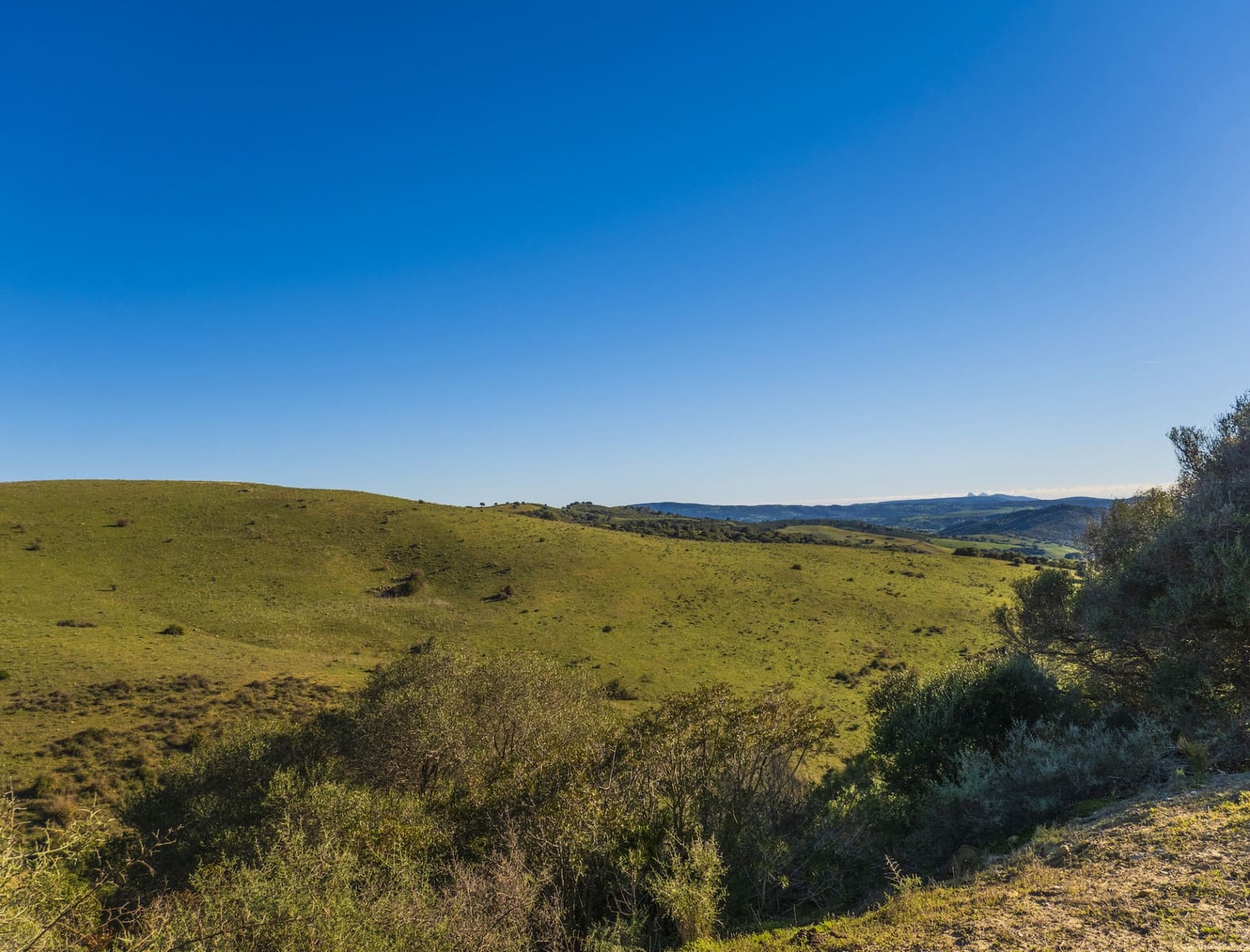 7 soverom Finca/Herregård til salgs i San Martin del Tesorillo med garasje - € 6 950 000 (Ref: 8254382)