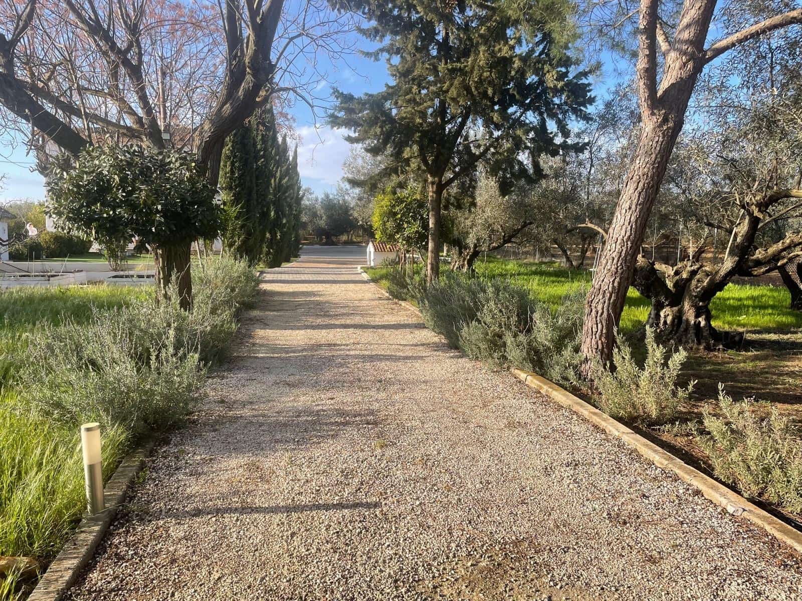 7 soveværelse Finca/Landehus til salg i Puente Genil med swimmingpool - € 449.000 (Ref: 8474222)