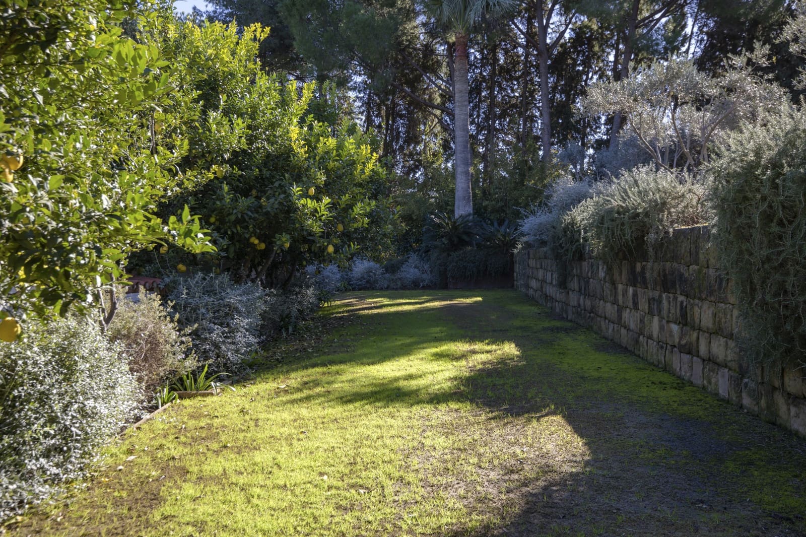 7 bedroom Villa for sale in Guadalmina with pool - € 2,500,000 (Ref: 9608331)