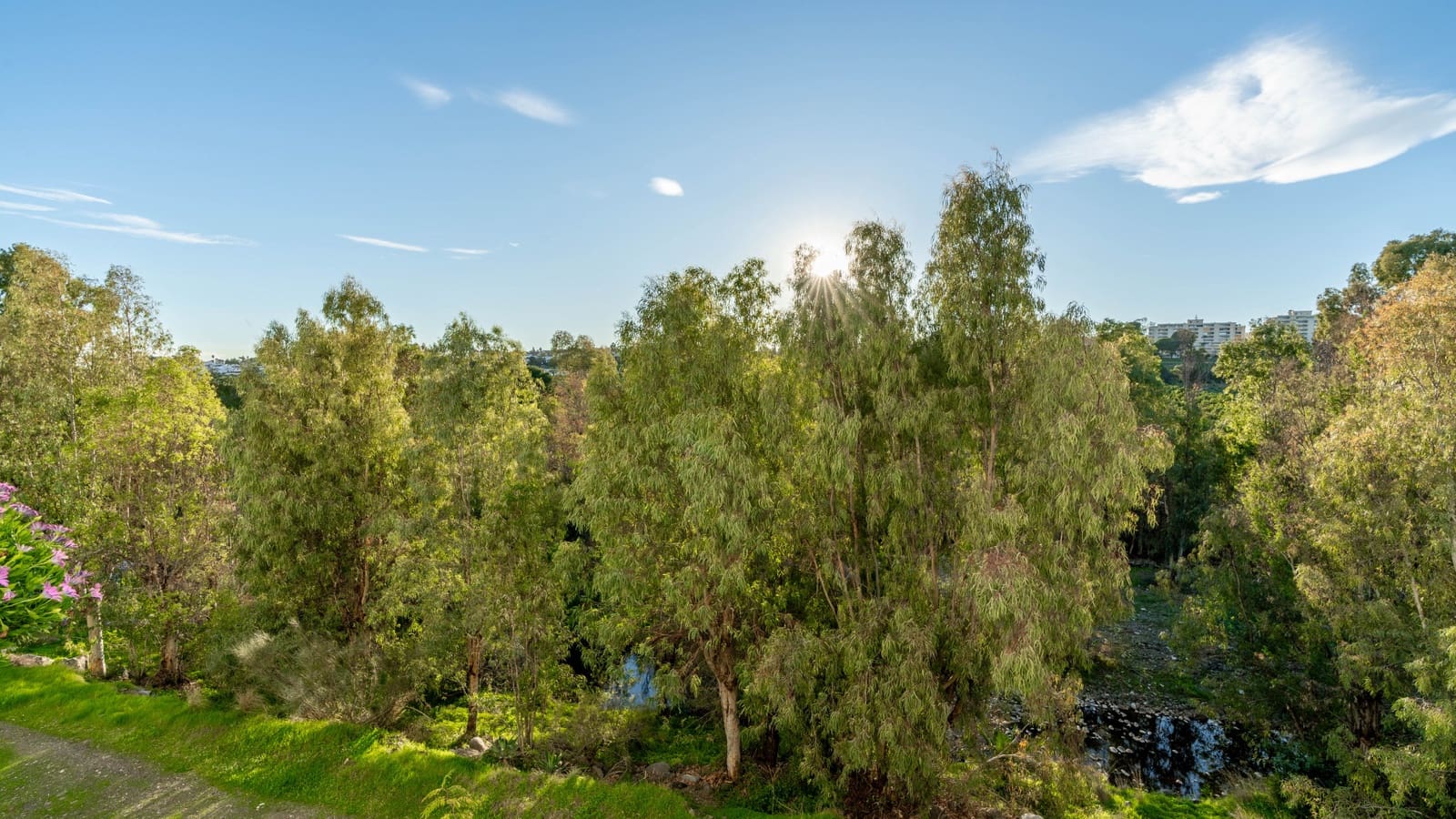 2 soverom Leilighet til salgs i Guadalmina med svømmebasseng garasje - € 530 000 (Ref: 9627901)