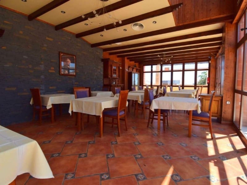 Bedrijf te koop in Orihuela - € 260.000 (Ref: 10041009)