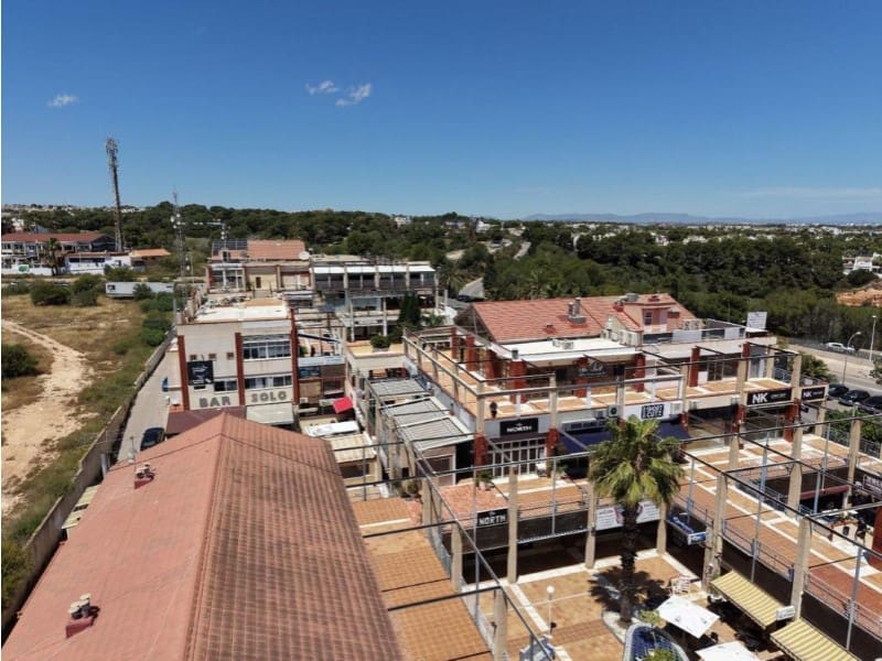 Bedrijf te koop in Orihuela - € 260.000 (Ref: 10041009)