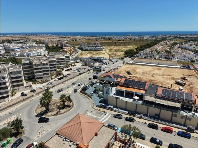 Bedrijf te koop in Orihuela - € 260.000 (Ref: 10041009)
