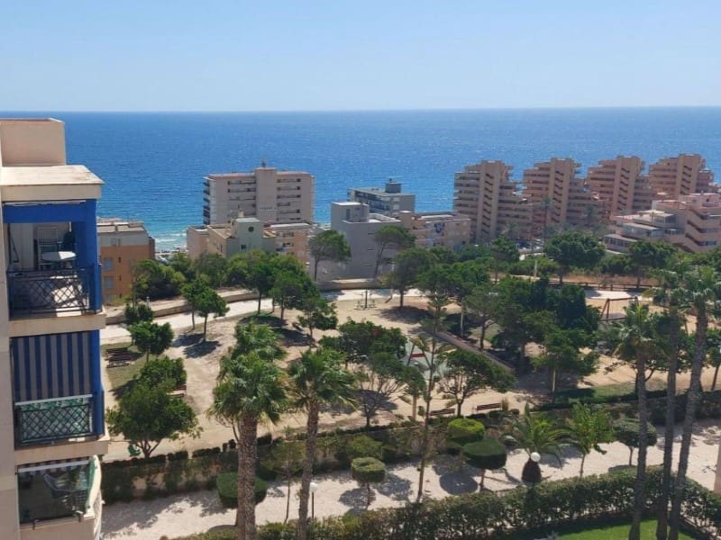 1 bedroom Apartment for sale in Elche / Elx with pool - € 208,000 (Ref: 10124430)